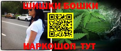 стаф Славгород
