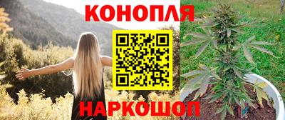 стаф Славгород